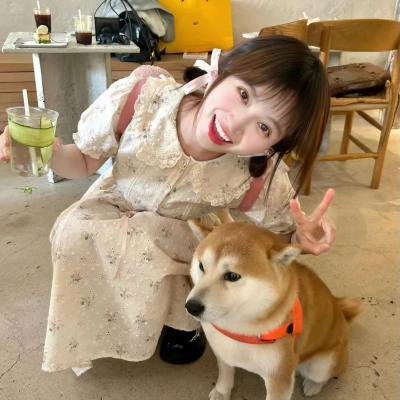 玩命夏日